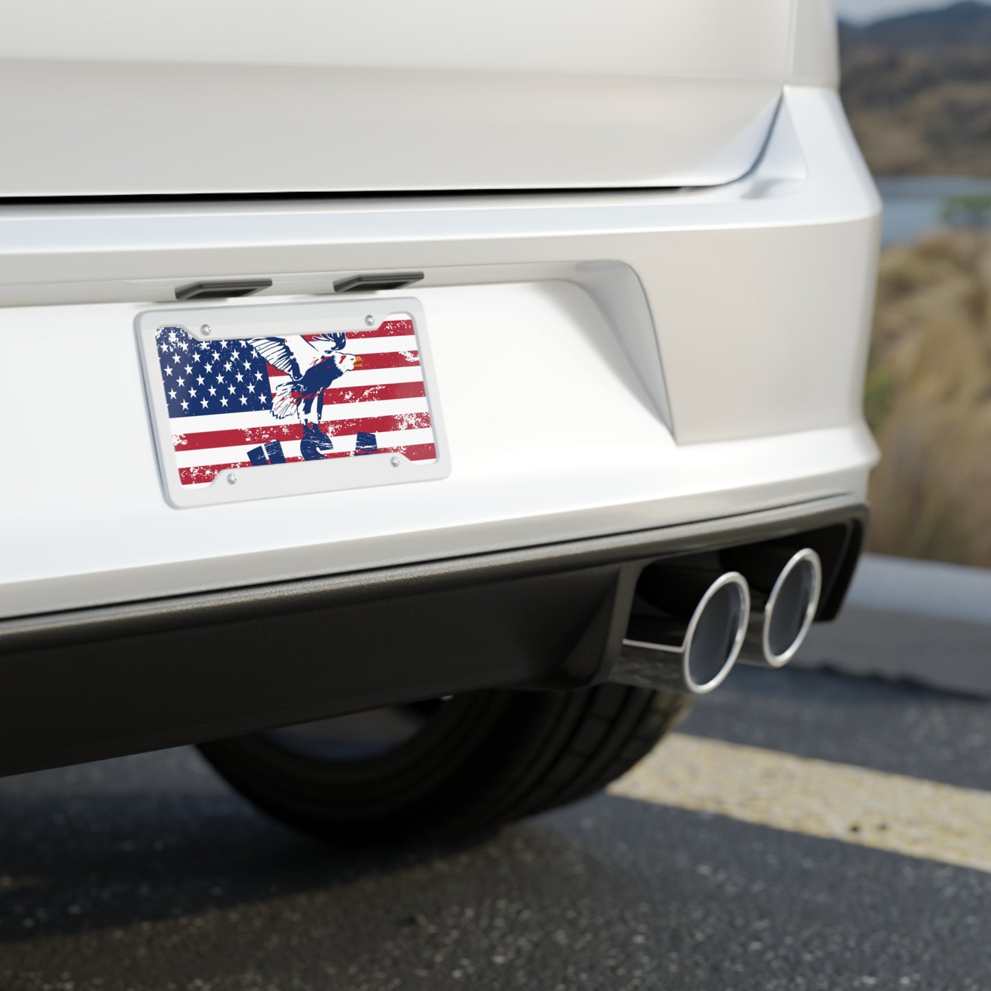 License Plate