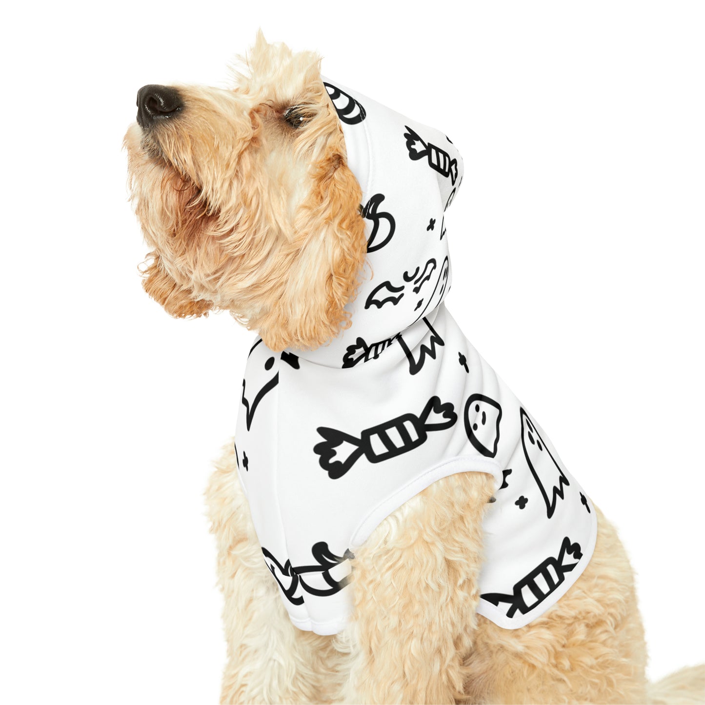 Pet Hoodie