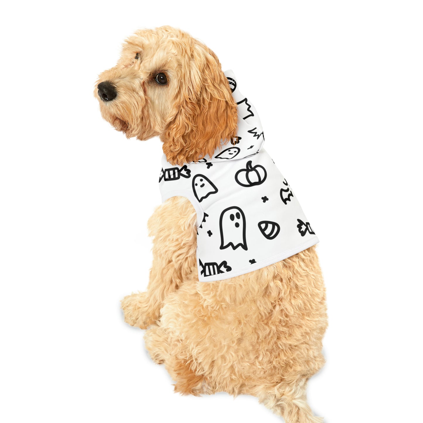 Pet Hoodie