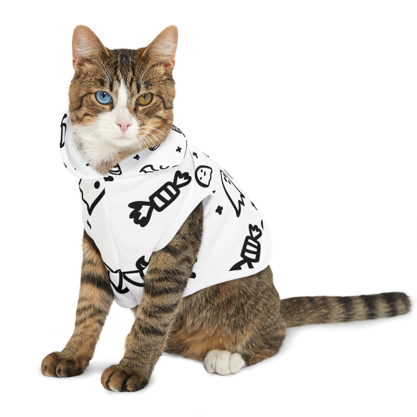 Pet Hoodie
