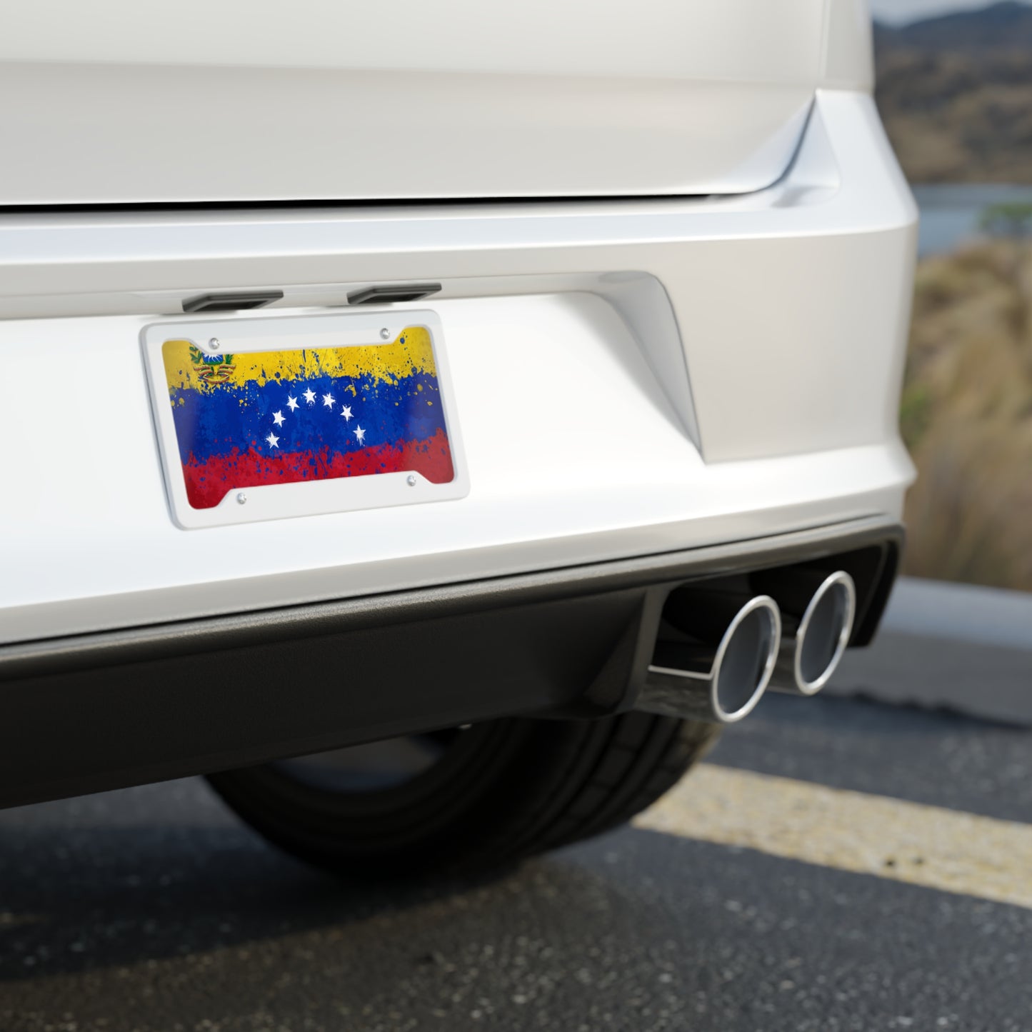 License Plate