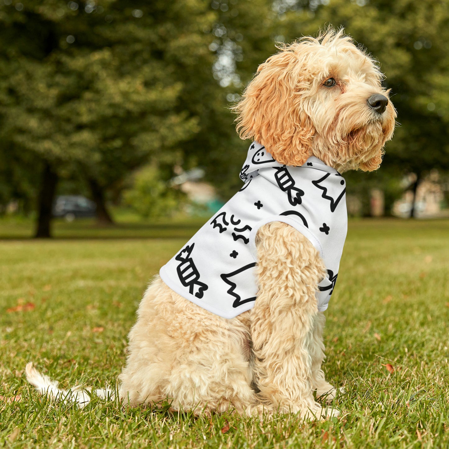 Pet Hoodie