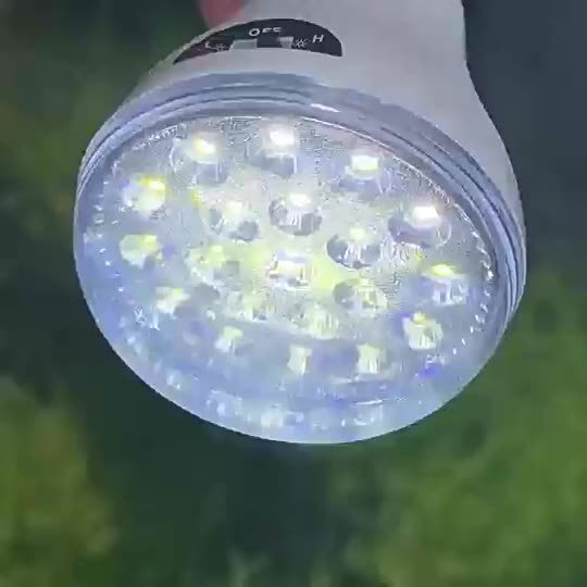 1pc / 2pcs Bombillas LED Solares, Linterna Recargable Colgante Portátil Para Exteriores De 20 LED, Para Iluminación De Gallinero En El Mercado Nocturno Para Acampar Al Aire Libre