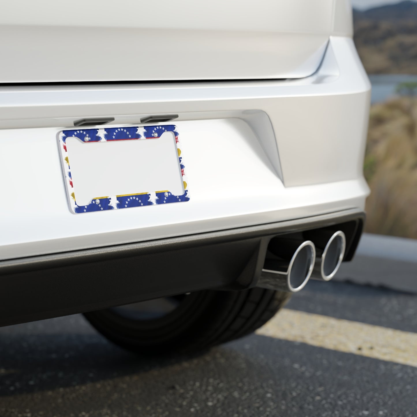 License Plate Frame
