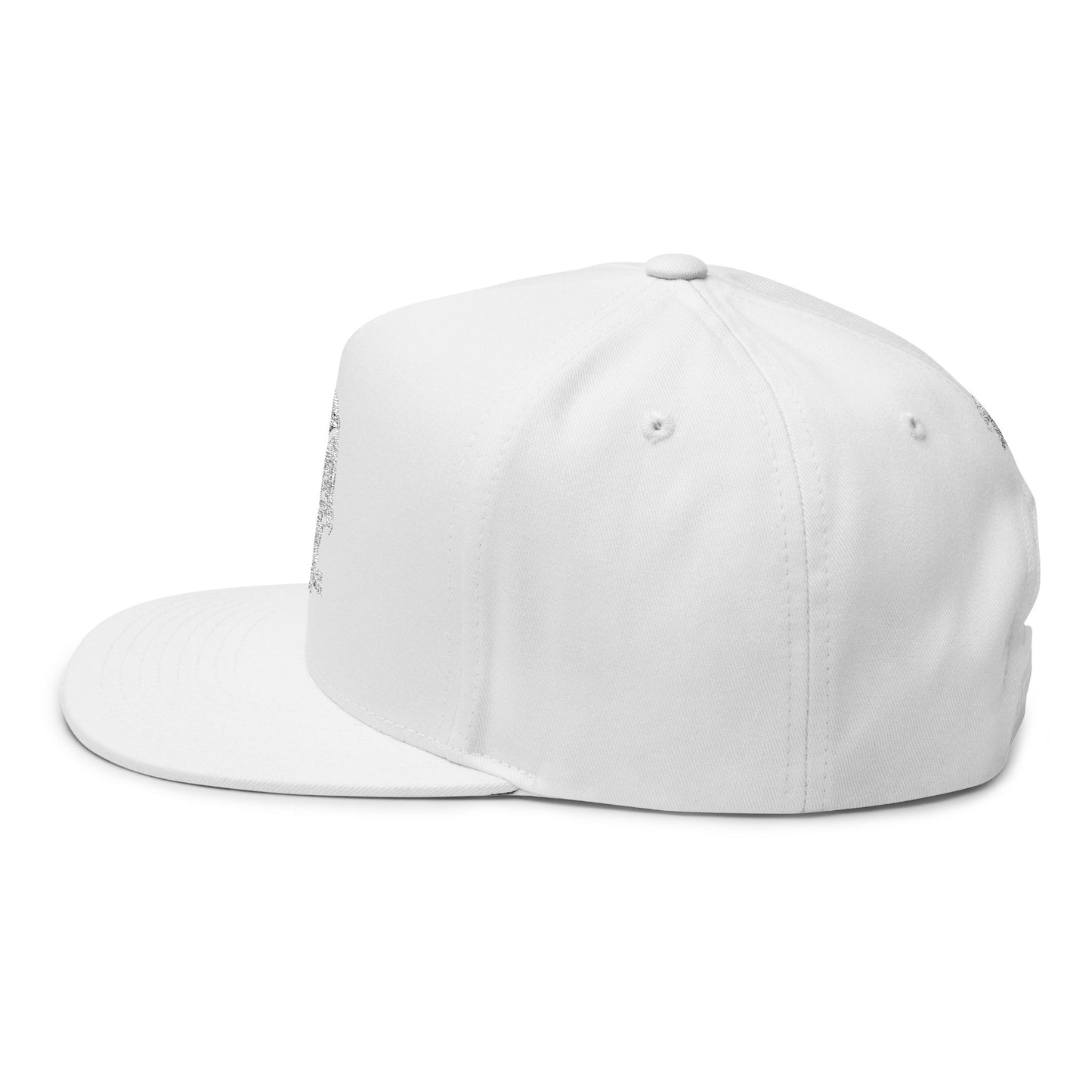 Stylish Embroidered Flat Bill Cap, Cool Cap for Outdoor Adventures, Trendy Hat for Everyday Wear, Adjustable Hat for Men and Women, [...]