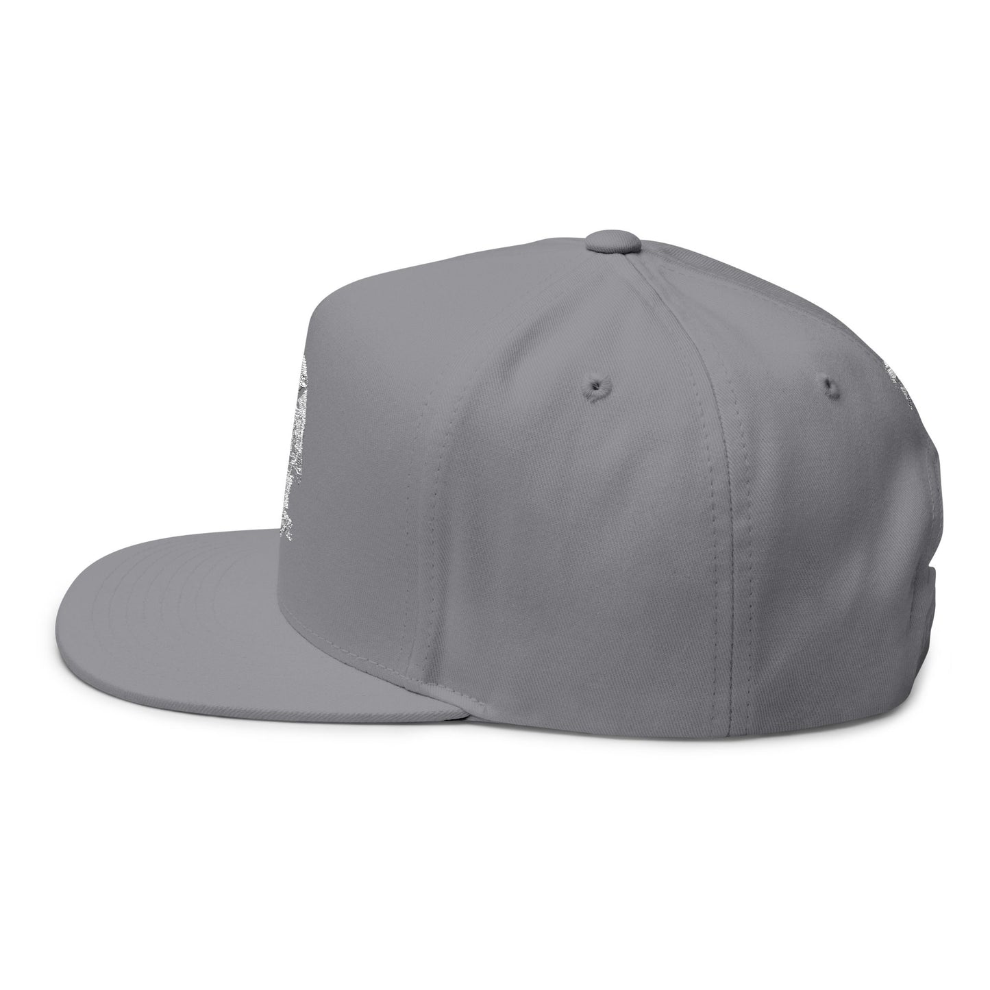 Stylish Embroidered Flat Bill Cap, Cool Cap for Outdoor Adventures, Trendy Hat for Everyday Wear, Adjustable Hat for Men and Women, [...]