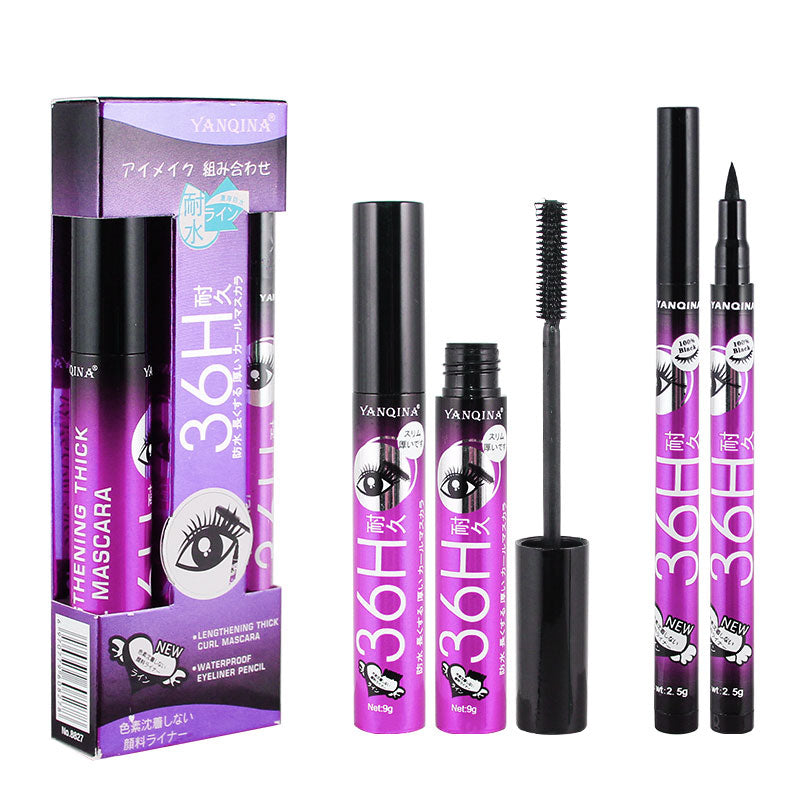 Makeup Set Black Mascara + Eyeliner Pen Maquiagem Waterproof 4D Fiber Mascaras Make up Kit Big Eyes Cosmetics Eye Liner Pencil